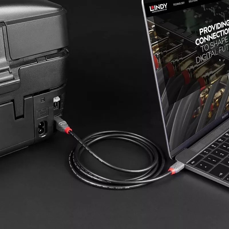 USB 2.0 Typ-C-auf-B-Kabel Lindy 36940 0,5 m Anthra Line