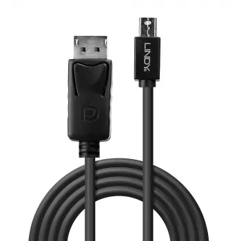 Lindy 2m Mini DisplayPort Male to DisplayPort Male, Schwarz, 2 m, Mini DisplayPort, DisplayPort, Male, Male, 2560 x 1600 Pixel