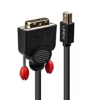 Lindy 2m Mini DisplayPort auf DVI-Kabel, Schwarz