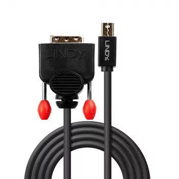 Lindy 2m Mini DisplayPort auf DVI-Kabel, Schwarz