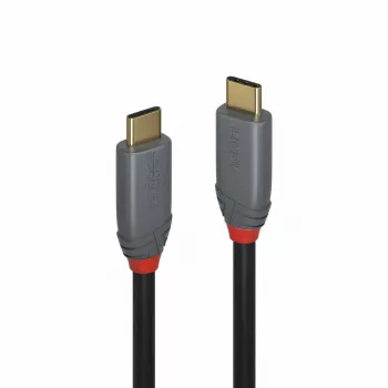 Lindy 2m USB 3.2 Typ-C-Kabel, 5A PD, Anthra Line