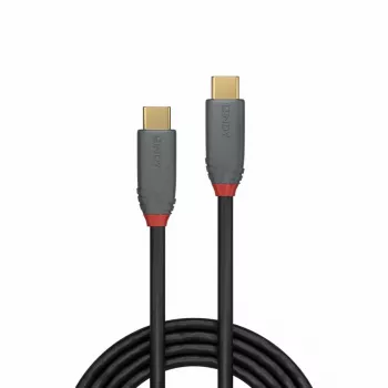 Lindy 2m USB 3.2 Typ-C-Kabel, 5A PD, Anthra Line