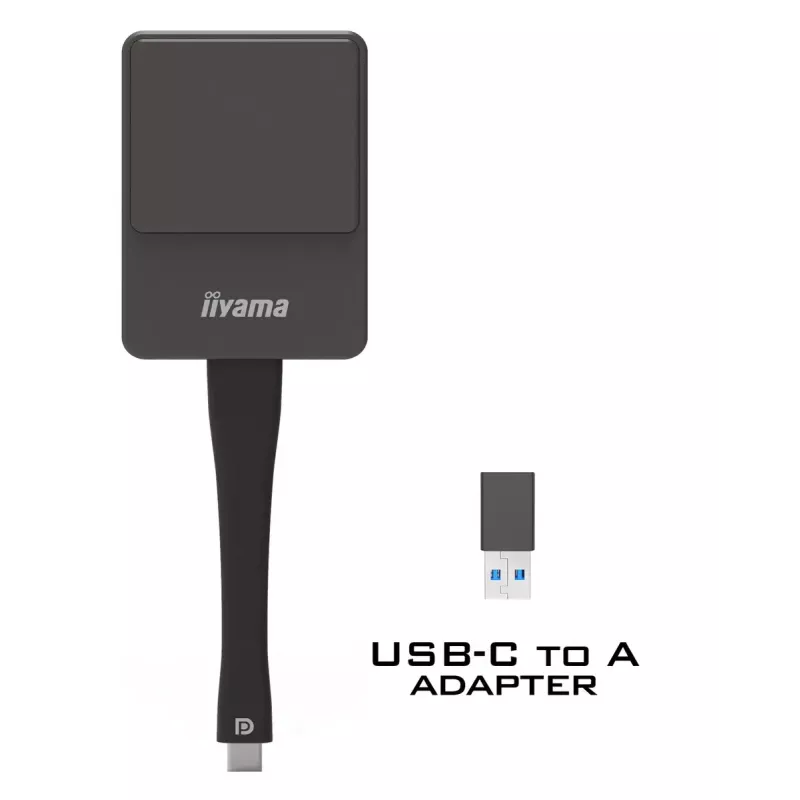 iiyama WP D002C Smart-TV-Dongle USB 4K Ultra HD Schwarz, Silber