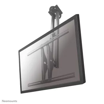 Neomounts PLASMA-C100 Monitor-/TV-Deckenhalterung 37-75 Zoll - h 67-107 cm