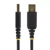 StarTech.com 10ft (3m) USB zu Nullmodem Seriell Adapterkabel, austauschbare DB9 Schrauben/Muttern, COM Retention, USB-A zu RS232, FTDI, ESD-Schutz Level 4, Windows/macOS/ChromeOS/Linux - Robustes TPE-Gehäuse