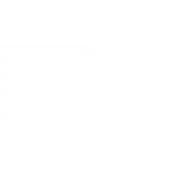 Bosch 2 607 019 446 Bohrer 25 Stück