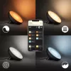 Smarte Tischlampe Philips Hue White and Colour Ambience Bloom