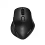 ASUS MW203 Maus Büro Rechtshändig RF Wireless + Bluetooth Optisch 2400 DPI