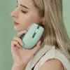 Maus ASUS SmartO MD200 Silent Plus – beidhändig RF Wireless + Bluetooth, optisch 4200 DPI, 6 Tasten, grün
