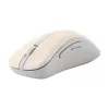 ASUS Wireless MD102 Maus Universal Rechtshändig RF Wireless + Bluetooth Optisch 1600 DPI