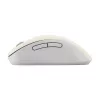 ASUS Wireless MD102 Maus Universal Rechtshändig RF Wireless + Bluetooth Optisch 1600 DPI