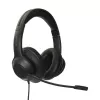 Targus AEH102GL Headset Kabelgebunden Kopfband Anrufe/Musik USB Typ-A Schwarz