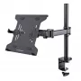 StarTech.com Laptop-Desk-Mount – Monitor- und Laptop-Halterung – Displays bis 34 Zoll (8 kg) & Laptops (4,5 kg) – Gelenkiger VESA-Laptoptischarm – Klemmen-/Tüllenmontage