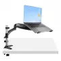 StarTech.com Schreibtischhalterung für Laptops – voll beweglicher Gelenkarm für Laptop oder einzelnen 34-Zoll-Monitor – VESA-Halterungsplatte für Laptops – ergonomisch verstellbarer Notebook-Ständer – Tischklemme
