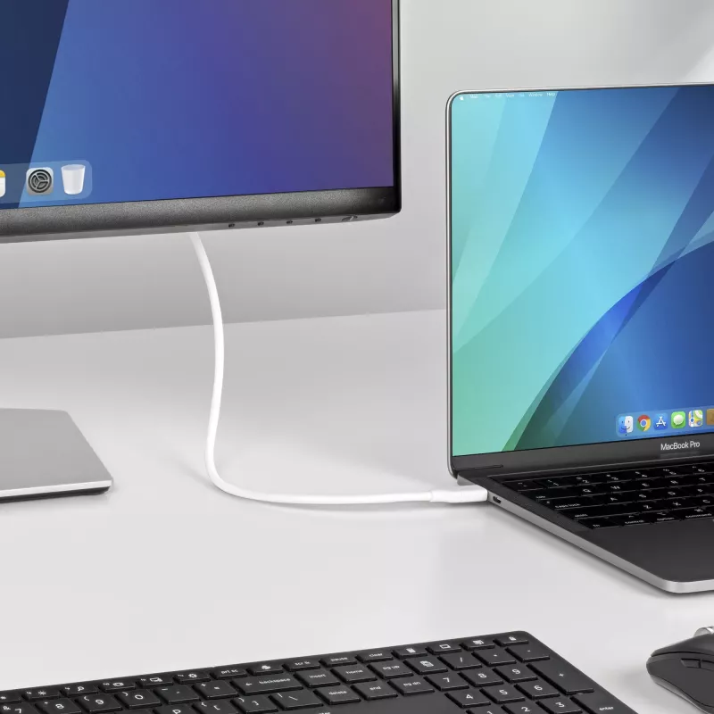 StarTech.com 6ft (2m) USB-C auf DisplayPort 1.2 Kabel, bidirektional, 4K 60Hz, Weiß, Videoadapterkabel für Apple MacBook Pro / Air M1 M2 M3 M4, Mac Mini / Studio, Thunderbolt-kompatibel