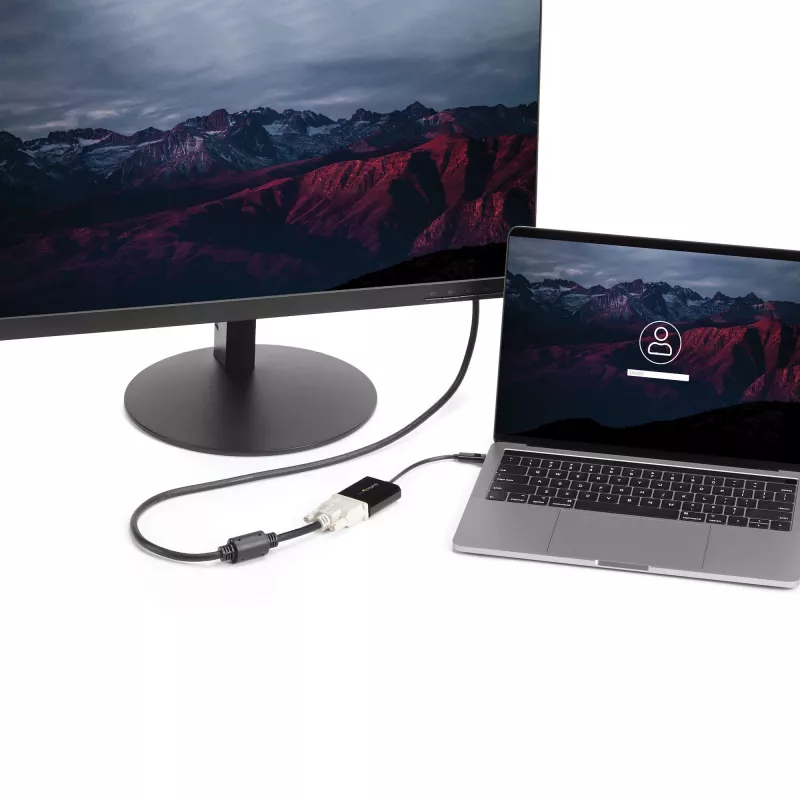 StarTech.com USB-C auf DVI Adapter – Schwarz – 1920x1200 – USB Typ-C Videokonverter für Ihren DVI-D Bildschirm/Monitor/Projektor – Aktualisierte Version ist CDP2DVIEC