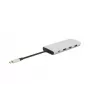 eSTUFF ES623009 Schnittstellen-Hub USB 3.2 Gen 1 (3.1 Gen 1) Type-C 5000 Mbit/s Grau