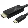 Techly Adapterkabel USB-C Stecker auf HDMI 2.0 4K Stecker 2 m Schwarz