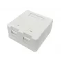 Lanview LVN127767 Anschlussdose 2 x RJ-45 Weiß