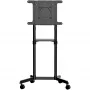 StarTech.com Mobiler TV-Wagen - Tragbarer rollender TV-Ständer für 37-70 Zoll VESA-Display (154lb/70kg) - TV-Ständer mit Ablage & Staufach - Display drehen/neigen - Universelle TV-Halterung auf Rädern