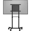 StarTech.com Mobiler TV-Wagen - Tragbarer rollender TV-Ständer für 37-70 Zoll VESA-Display (154lb/70kg) - TV-Ständer mit Ablage & Staufach - Display drehen/neigen - Universelle TV-Halterung auf Rädern