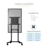 StarTech.com Mobiler TV-Wagen - Tragbarer rollender TV-Ständer für 37-70 Zoll VESA-Display (154lb/70kg) - TV-Ständer mit Ablage & Staufach - Display drehen/neigen - Universelle TV-Halterung auf Rädern