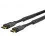 Vivolink PRODPAM10 DisplayPort-Kabel 10 m Schwarz