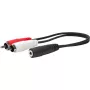 Vivolink PROMJFRCAM0.2 Audiokabel 0,2 m 3,5 mm 2 x RCA Schwarz