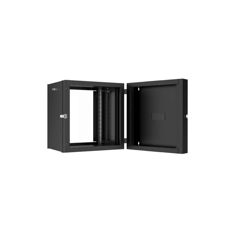 Lanview RWP12U45BL-D Rack-Schrank 12U Wandmontage-Rack Schwarz