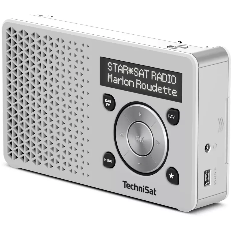 Tragbares Radio TechniSat DigitRadio 1