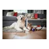 Philips PowerPro Expert beutelloser Staubsauger FC9729/09