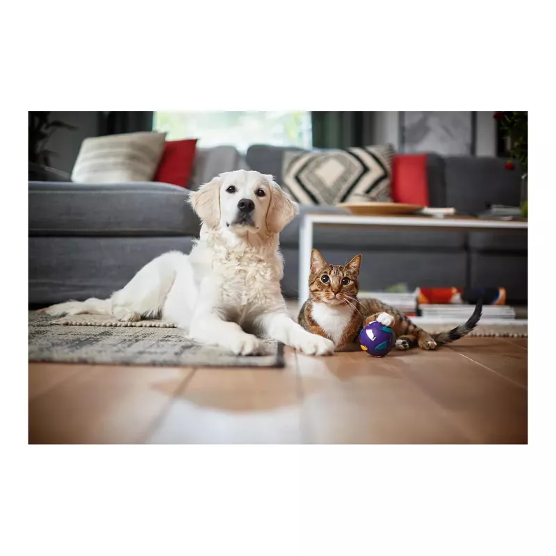 Philips PowerPro Expert beutelloser Staubsauger FC9729/09