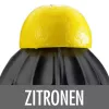 Elektrische Zitruspresse Gastroback Home Culture 100 W Schwarz Edelstahl