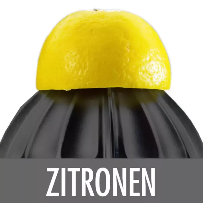 Elektrische Zitruspresse Gastroback Home Culture 100 W Schwarz Edelstahl