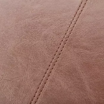 Folio Case Trunk TR-LEAIPC10-BRW für iPad 10,2 Zoll, Braun