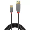 Lindy 0,15 m USB 3.2 Typ-C-auf-A-Adapterkabel, 10 Gbit/s, Anthra Line