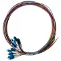 Lanview LVO-PIG-LCUPC-12CORE-OS2-2M
