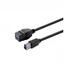 USB-3.0-A-Buchse-auf-A-Buchse-Kabel VivoLink PROKEYUSB3AFBM3B, Schwarz