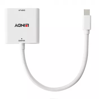Lindy Mini DisplayPort auf DVI Konverter 0,18 m Mini DisplayPort DVI-I