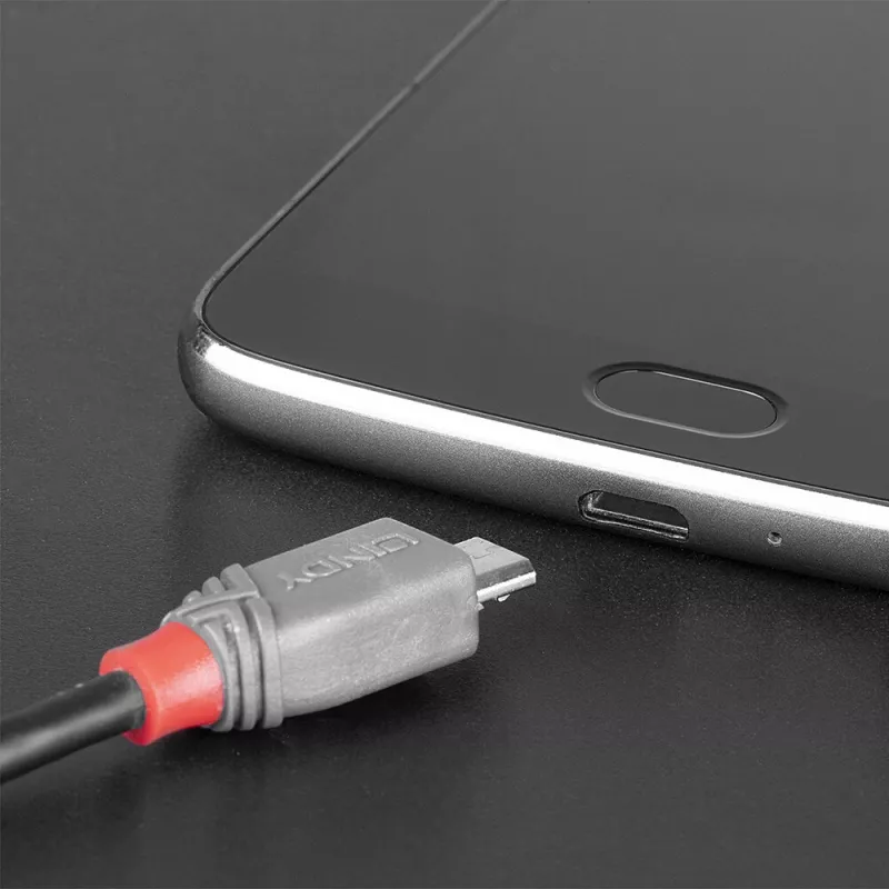 Lindy 3m USB 2.0 Typ-C auf Micro-B Kabel, Anthra Line