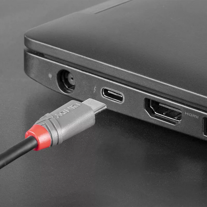 Lindy 2m USB 2.0 Typ-C auf Micro-B Kabel, Anthra Line