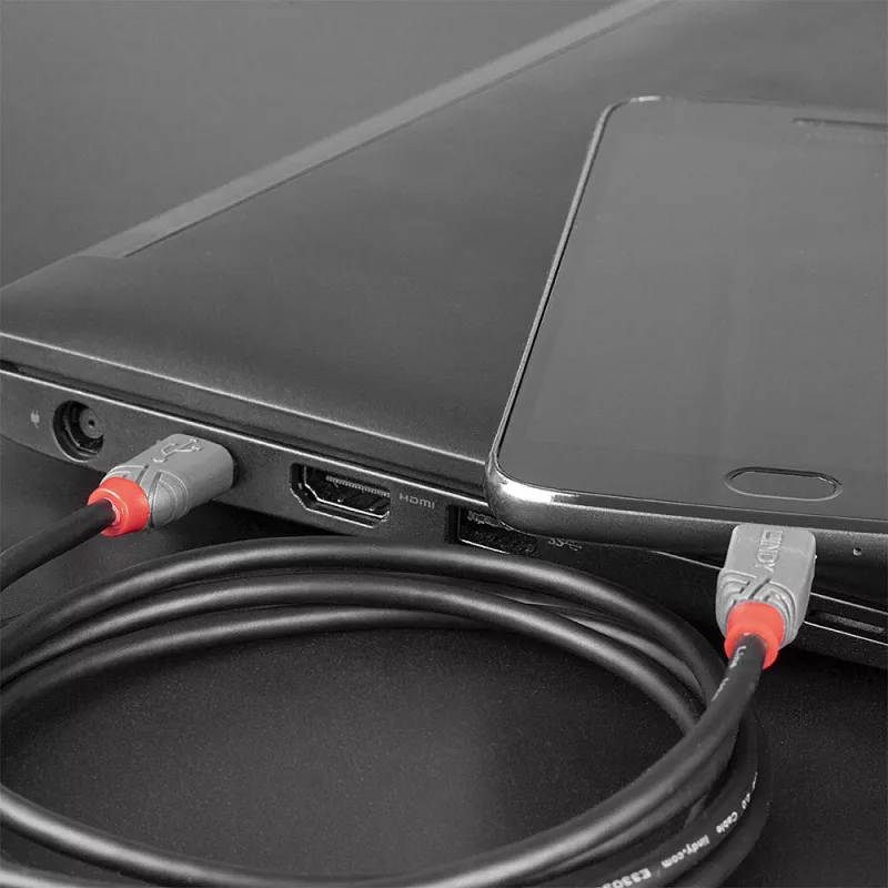 Lindy 1m USB 2.0 Typ-C auf Micro-B Kabel, Anthra Line