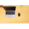Wireless Maus Manhattan Ergonomic Vertical Right Handed RF