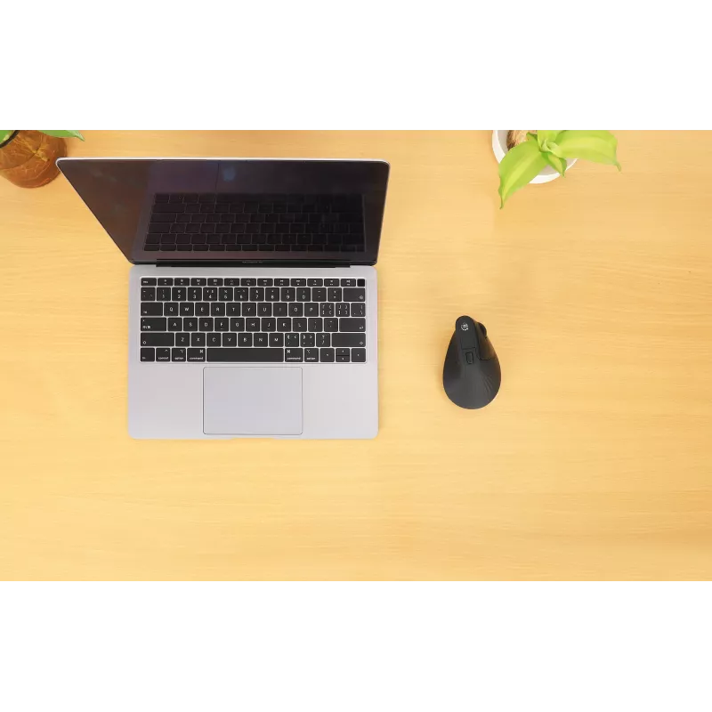 Wireless Maus Manhattan Ergonomic Vertical Right Handed RF