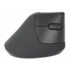 Wireless Maus Manhattan Ergonomic Vertical Right Handed RF