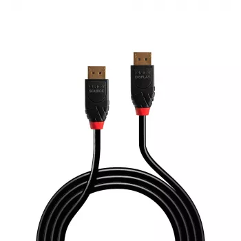 DisplayPort-Kabel Lindy 10m Aktives DisplayPort 1.4 Kabel