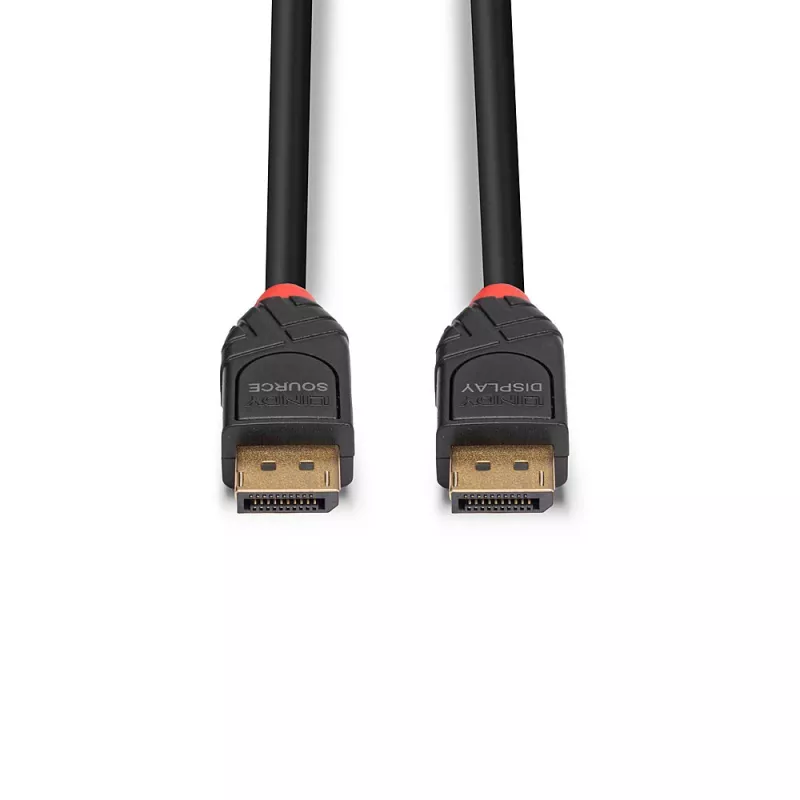 DisplayPort-Kabel Lindy 10m Aktives DisplayPort 1.4 Kabel