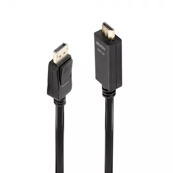 Lindy 0,5m DisplayPort auf HDMI 10.2G Kabel