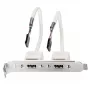 USB-Rückblende Lindy 2-Port USB 2.0 PC-Rückblende