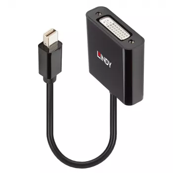 Lindy Mini DisplayPort auf DVI Aktiv-Converter 0,16 m Schwarz